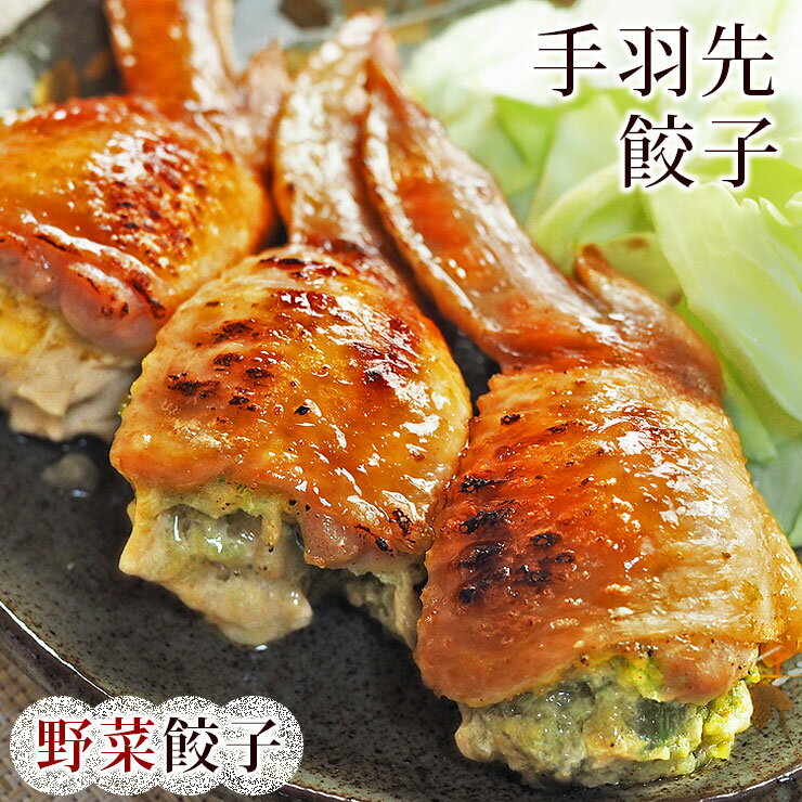 手羽餃子 手羽先餃子 野菜餃子 5本 バーベキュー BBQ bbq 焼き鳥 焼鳥 やきとり ヤキトリ 焼肉 晩酌 おつまみ 酒の肴 父の日 プレゼント 食べ物 惣菜 冷凍