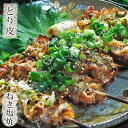 焼き鳥 国産 とり皮串 ねぎ塩 5本 BBQ バーベキュー 惣菜 おつまみ 焼鳥 家飲み 肉 グリル ギフト スチーム チルド