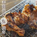 焼き鳥 国産 手羽元 塩 5本 BBQ バーベキュー 焼鳥 惣菜 おつまみ 家飲み 肉 グリル ギフト 生 チルド