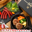 馬刺し 国産 熊本 ギフト 国産馬肉 2種詰め合わせセット 手作り馬ハンバーグ 馬肉ウィンナー 詰め合わせセット 480g 贈答 化粧箱小付き 馬肉 贈答 馬刺...