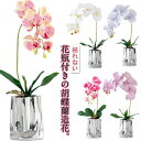 胡蝶蘭 造花 ミニサイズ 胡蝶蘭 一輪挿し アートフラワー 鉢花 枯れない 祝い花 枯れない花 花器 花瓶 ベース インテリア ギフト プレゼント 引越し 敬老...