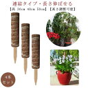 観葉植物 30cm 40cm 花ささえ 支柱 園芸支柱 50cm 支柱 天然 ココナッツ支柱 モンステラ支柱 高さ調整可能 連結可能 ガーデニング用 高 園芸支柱パーツ 植物サポート つる性植物 トマト ポトス