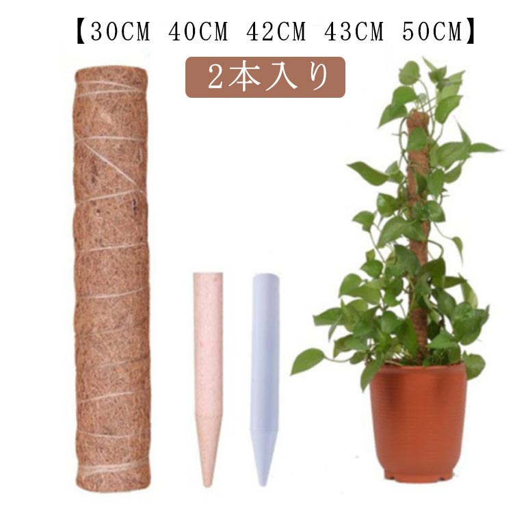 2本入り 植物支柱 園芸用 ココナッツ支柱 ポトス 支柱 ココナッツ支柱 40CM 43CM 42CM モンステラ 50CM 観葉植物 園芸支柱 園芸支柱 ココナッツ 天然 観葉植物 天然 ポトス つる性植物 植物サポート つる性植物 トマト 支柱 農業用 植物 30CM