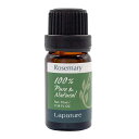 Lapature(ラパチュア) エッセンシャルオイル 10ml ローズマリー(Rosemary) 精油 アロマオイル アロマディフューザーにも最適 プレゼント 母の日