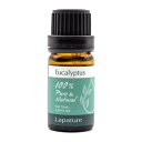 Lapature(ラパチュア) エッセンシャルオイル 10ml ユーカリ(Eucalyptus) 精油 アロマオイル アロマディフューザーにも最適 プレゼント 母の日