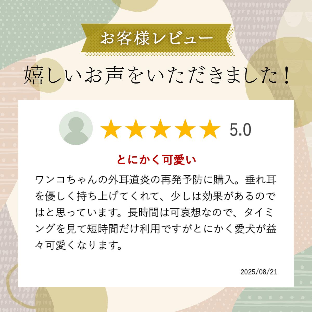サンプル画像2