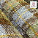 Harris Tweed（ハリスツイード）生地 ／LightGreen × LightBlue チェック｜生地巾150cm｜カット販売｜ネームラベル付き