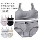 4点セット 送料無料 ジュニアブラジャー 上下セット インナーパンツ スポーツブラ ショーツ M ブラジャー ブラ ガールズ カップ付き 下着セット 肌着 アン...