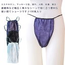 紙ショーツ 紙パンツ 使い捨て紙ショーツ ペーパーショーツ 不織布 旅行 使い捨てパンツ 防災グッズ 通気性 使い捨て 100枚入り メンズ レディース 下着 ショーツ 使い捨て紙ショーツ パンツ エステ用品 防災 携帯 入院 介護 ペーパーTバック(4)