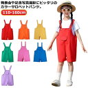 演出服 女の子 韓国子供服 カラーパンツ キッズ ダンス衣装 カラフル サロペット 韓国子供服 オーバーオール 幼稚園 保育園 夏服 卒園式 男の子 応援団 シ...