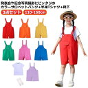 記念写真 保育園 カラーパンツ キッズ 女の子 3点セット 男女兼用 サロペット 幼稚園 男の子 卒園式 半袖tシャツ オーバーオール 韓国子供服 サロペットパ...