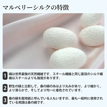 2枚セット シルクマスク 立体マスク 冷感マスク 美肌マスク 保湿マスク 夏用マスク シルク100% 層仕立て大人 繰り返し使える 接触冷感 洗える uvカットズ シルク 絹 洗える ト日焼け止め 紫外線対策 おしゃれ レディース メンズ 男女兼用 送料無料