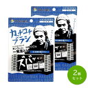 そうじの神様® カッチコチブラシ 生活雑貨用 × 2個セット KBセーレン【日本製】【メール便対応】【送料無料】
