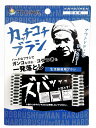 そうじの神様® カッチコチブラシ 生活雑貨用 KBセーレン【日本製】【メール便対応】