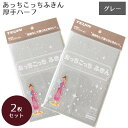 あっちこっちふきん 厚手版 ハーフ グレー ×2個セット【布巾】【テイジン】【TEIJIN】【キッチンクロス】【マイクロファイバー】【洗剤不要】【日本製】【メール便対応】