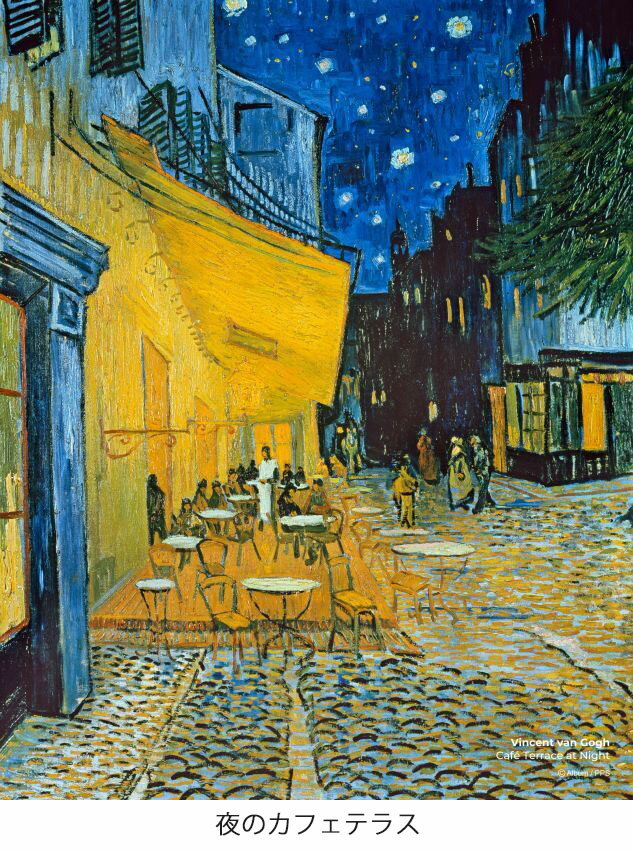 ��� �ȥ쥷�� ̾�襷�꡼�� ���å� 19��24cm ��3�ѥ����� �ڥᥬ�Ϳ����ۡ�TORAY�ۡ�Toraysee�ۡڥ᡼�����б���