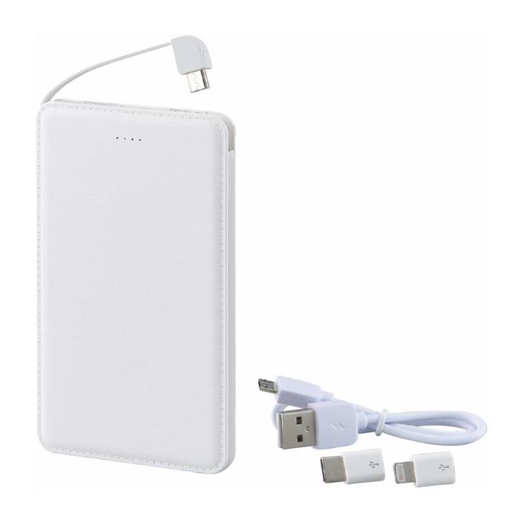 モバイルバッテリー5000mAh（iPhone・USB Type-C用アダプター付） プレゼント ギフト 贈り物 贈答品 父の日 ココアルデ 【単品配送】 6189-23 C5018025