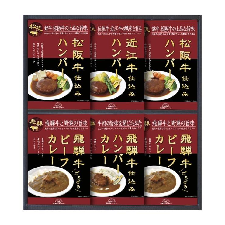 【送料無料】飛騨高山ファクトリー 松阪牛・近江牛・飛騨牛仕込みハンバーグ＆カレー詰合せ プレゼント ギフト 贈り物 贈答品 父の日 ココアルデ 【単品配送】 HBK-40 C5201080