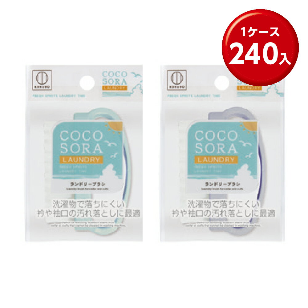 (240) COCOSORA ɥ꡼֥饷