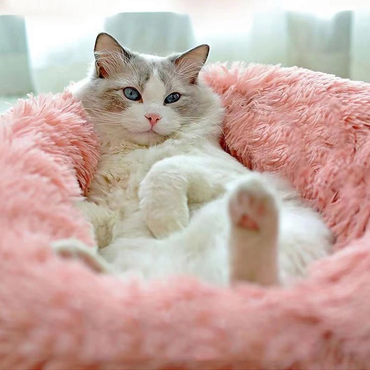 ペットベッド 丸型 洗える 秋冬 オールシーズン かわいい 猫 小型犬 S M L ふわふ...