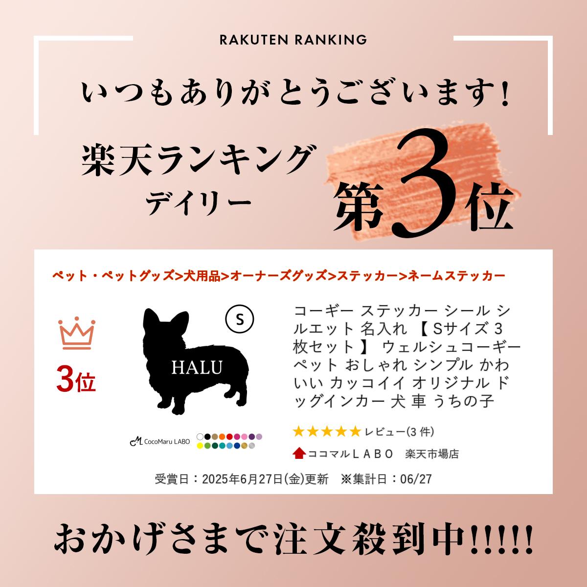 コーギー ステッカー シール シルエット 名入れ 【 Sサイズ 3枚セット 】 ウェルシ...