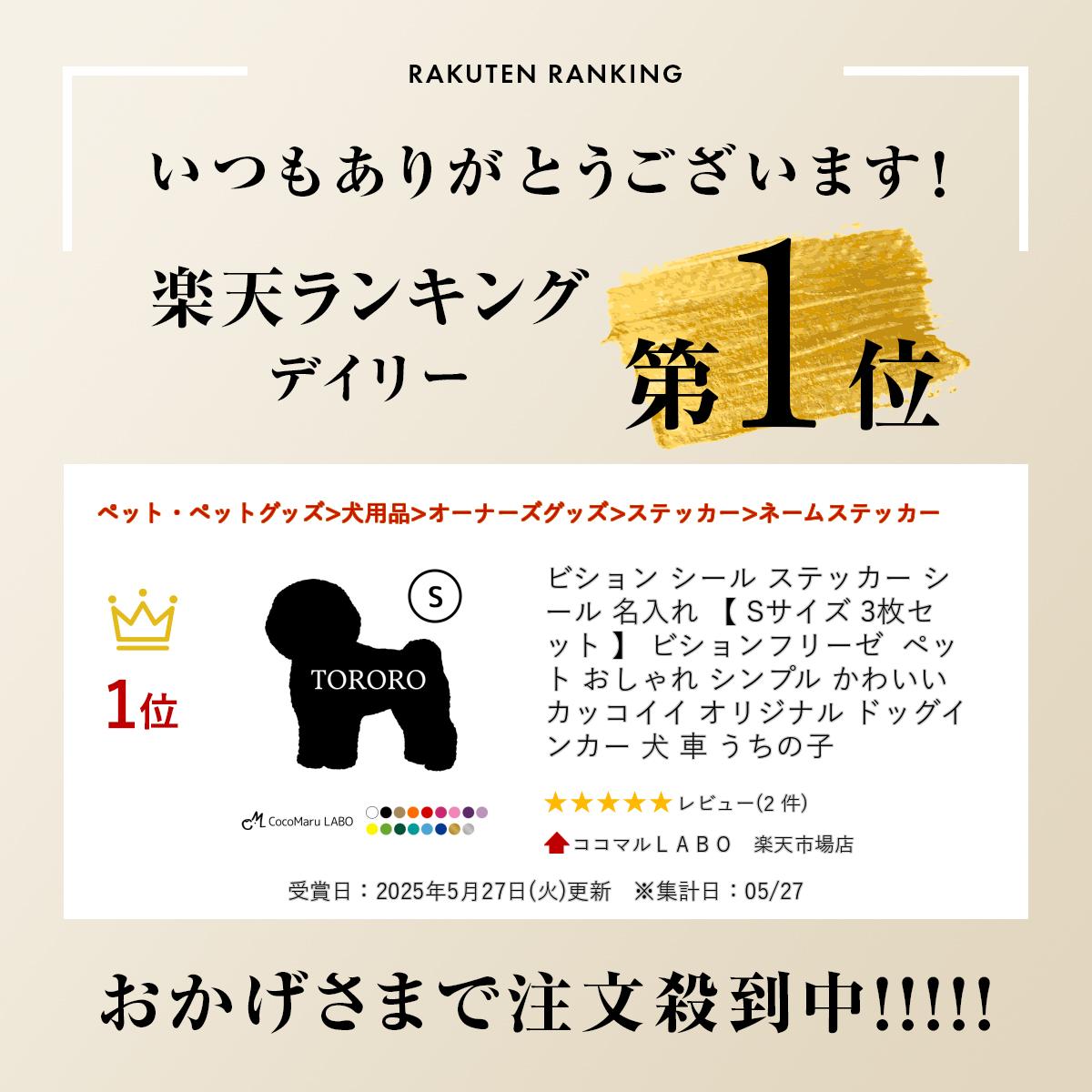 ビション シール ステッカー シール 名入れ 【 Sサイズ 3枚セット 】 ビションフリ...