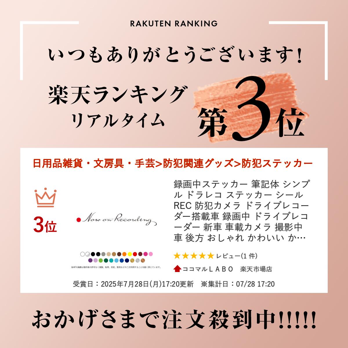録画中ステッカー 筆記体 シンプル ドラレコ ステッカー シール REC 防犯カメラ ド...