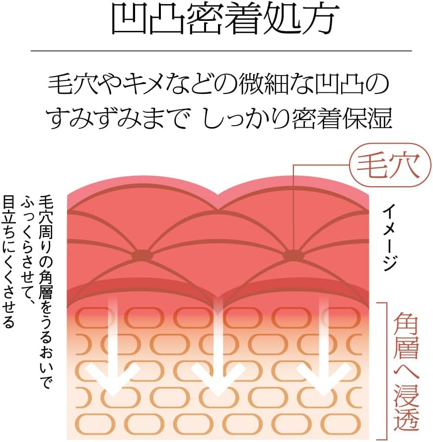 花王 ソフィーナ iP ハリ弾力注入美容液 40g coconokionline-10002477 coconoki online shop サンプル画像3