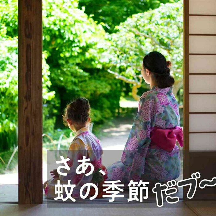 �������������������Ρ��ޥåȡ���Ȥ���֥���60�����åȡ��ɽ��Ѱ��������ʡۢ������󤻾��ʡ�����󥻥��Բĥ᡼�������ʤˤʤ��礬�������ޤ���