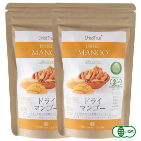 有機 ドライマンゴー50g 2袋 砂糖不使用 タイ産 JASオーガニック マンゴー マハチャノック種 無添加 無漂白 無保存剤 グルテンフリー