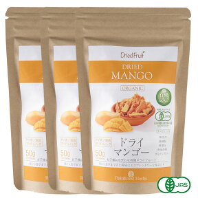 有機 ドライマンゴー50g 3袋 砂糖不使用 タイ産 JASオーガニック マンゴー マハチャノック種 無添加 無漂白 無保存剤 グルテンフリー