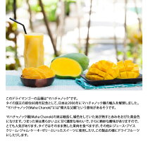 ドライマンゴー有機ドライマンゴー有機JASオーガニックマハチャノック無添加砂糖不使用タイ産無漂白