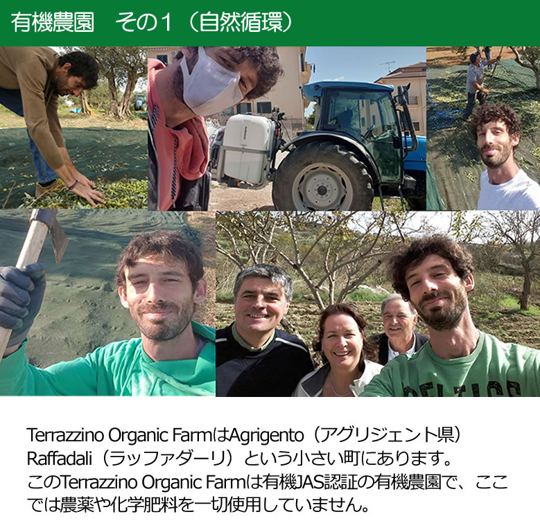 有機JASオーガニックオリーブオイルの有機農園その2(天然の肥料と害虫olivefly)
