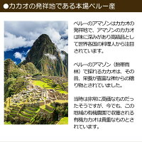 有機JASカカオバターココアバターペルー産300gオーガニックカカオバター100%未脱臭溶剤不使用