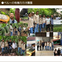 有機JASカカオバターココアバターペルー産300gオーガニックカカオバター100%未脱臭溶剤不使用