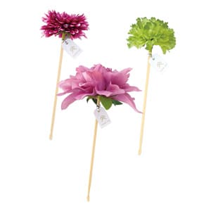 花音(かのん) 1本　【単品】