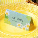 【99円OFFクーポン配布中】 席札 印刷込み エテ 夏 6名用 印刷 氏名 メニュー表 結婚式 印刷込み 台紙 用紙 無地 席札立て ブライダル ウェディング...