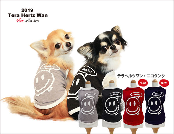 2019ǯʪƥإĥ󡡥˥󥯡12230(SSSMLLL3LSTMTLTFBMFBL)