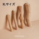 【CANOPHERA】キャノフィラ デンタルチュースティック XLサイズ(犬用)