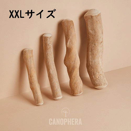 【CANOPHERA】キャノフィラ デンタルチュースティック XXLサイズ 犬用 