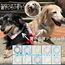 【SUO】2023 アイスクールリング ボタン付き（LLBサイズ）犬 熱中症予防 涼感 保冷 暑さ対策 冷却 クールダウン おしゃれ かわいい スオ suo