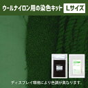 キット 染め ハンドメイド メール便のみ 老竹色（おいたけいろ）色 染料 そめそめキットPro ウール・ナイロン用 Lサイズ 染め粉 家庭用染料 布用の染色 手芸 色止め剤つきプロ仕様 カーキ