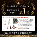 comconstore:10000222のサンプル画像2
