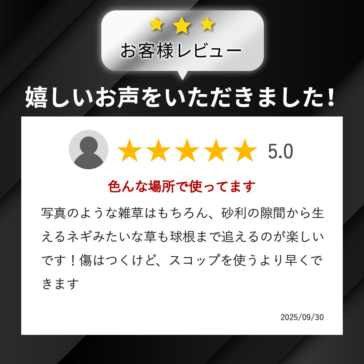 大進 金葉 ステンレス両刃鎌 草取り 道具 園芸 草むしり 農業 女性 庭 農作業 家庭菜園 用具 工具 庭 の 草刈り鎌 草刈り 園芸 ガーデニング 農業 女性 農作業 家庭菜園 用具 工具 木柄 軽量 女性 カマ かま 手動草刈り 便利 切れる 雑草抜き すきま 鍬 3
