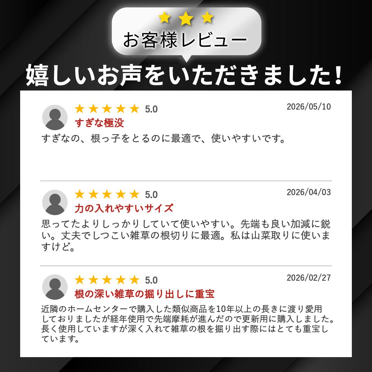 【楽天ランキング受賞】 EVERGREEN 木柄ステンレス根切り 大進 園芸 雑草 庭 の ガ...