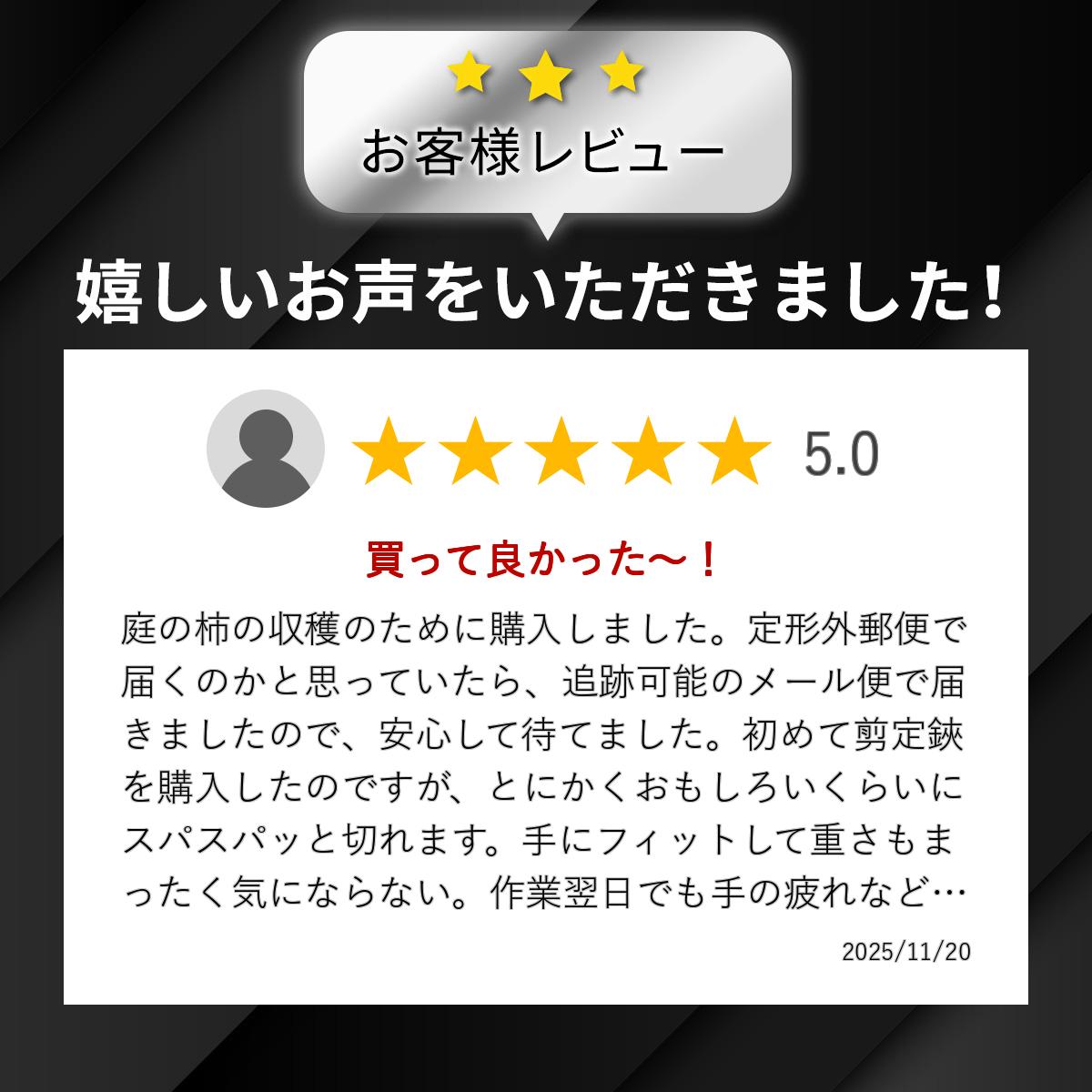 大進 剪定鋏DX アンビル型 大進 園芸ハサミ...の紹介画像3