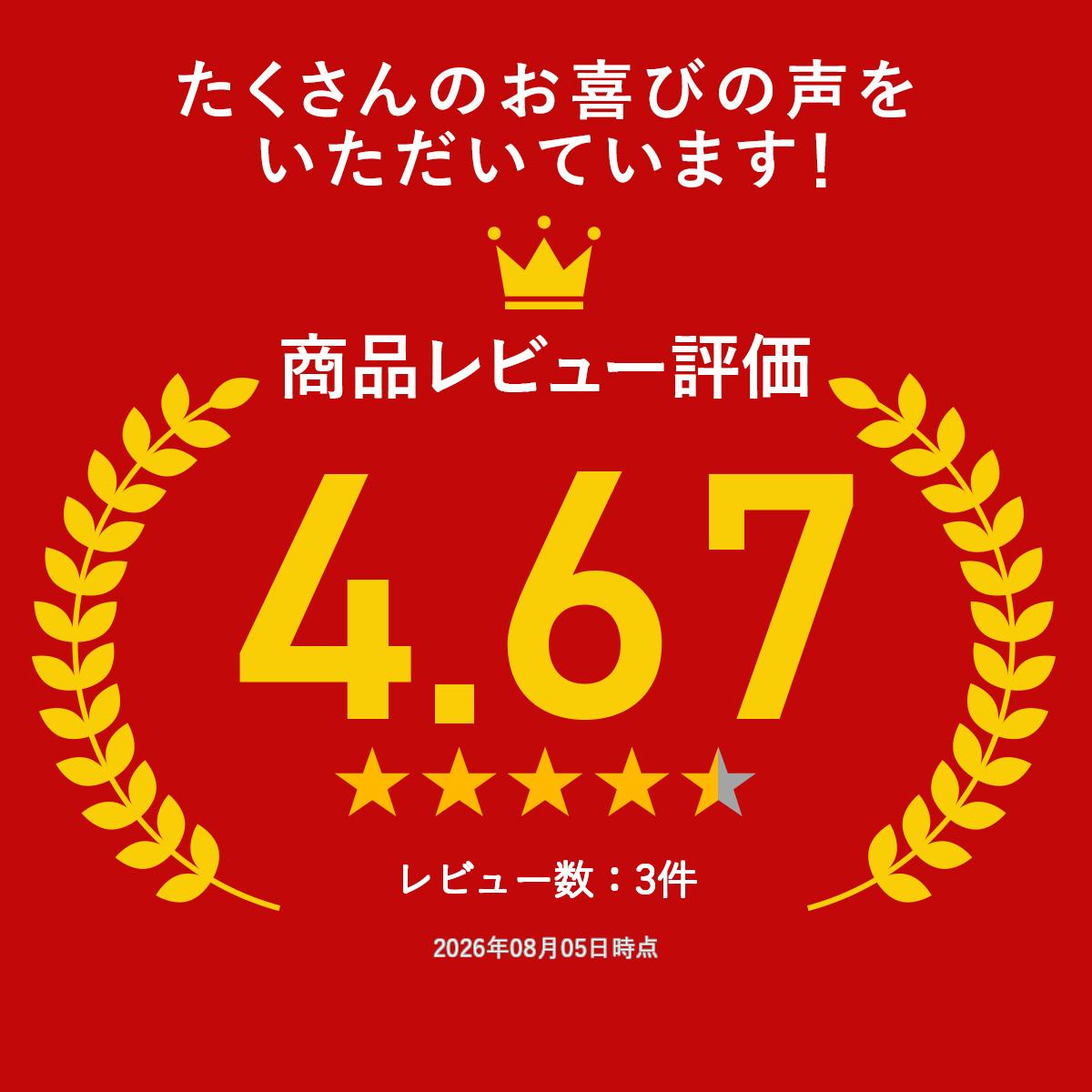 王冠 Padlock 南京錠 ペンダント ネックレス パドロック 鍵 クロス ゴシック系 silver925 シルバー925 メンズ レディース ジュエリー アクセサリー 1spの商品画像 2