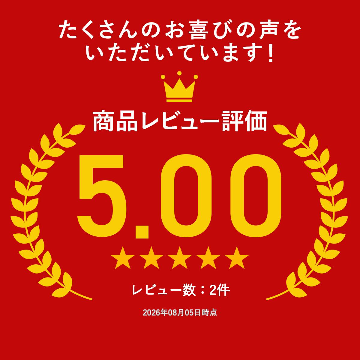 炎の剣トライバルフレアソード【オニキス】S&A シルバー ペンダント ネックレス ブランド ゴシックデザイン 百合紋章 パワーストーン オニキス ブラック 天然石 メンズアクセサリーの商品画像 2