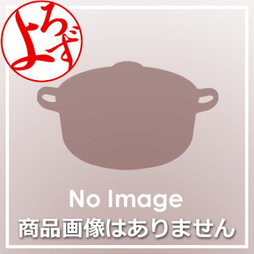 ジンジャーティースプーン 13.6cm 18-0ステンレス／生姜 おろし器 薬味 便利なスクイーザー 056080001