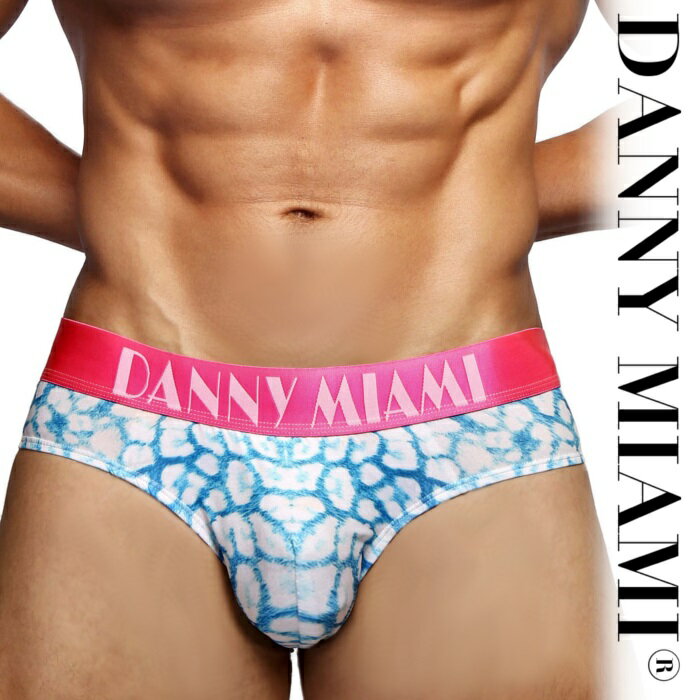 ブリーフ メンズブリーフ メンズローライズブリーフ ブリーフパンツ メンズ下着 メンズビキニ Danny Miami ダニーマイアミ DREAM ローライズ ビキニブリーフ(dm-40dream)